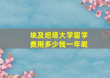 埃及坦塔大学留学费用多少钱一年呢