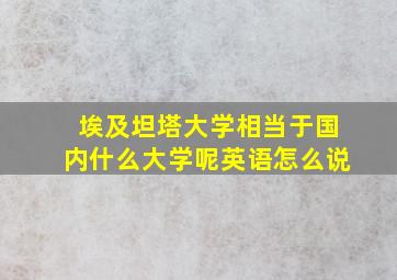 埃及坦塔大学相当于国内什么大学呢英语怎么说