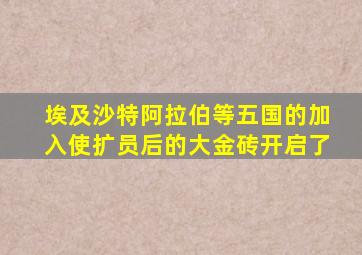 埃及沙特阿拉伯等五国的加入使扩员后的大金砖开启了