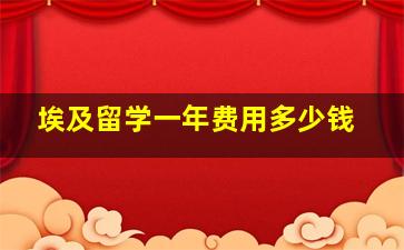 埃及留学一年费用多少钱