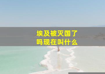 埃及被灭国了吗现在叫什么