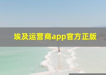 埃及运营商app官方正版