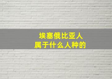 埃塞俄比亚人属于什么人种的