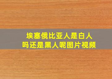 埃塞俄比亚人是白人吗还是黑人呢图片视频