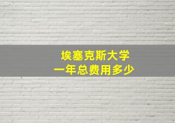 埃塞克斯大学一年总费用多少