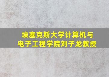 埃塞克斯大学计算机与电子工程学院刘子龙教授