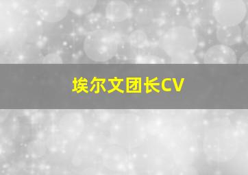 埃尔文团长CV