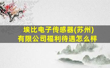 埃比电子传感器(苏州)有限公司福利待遇怎么样