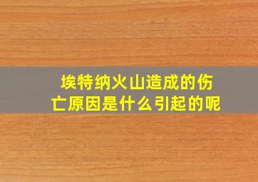 埃特纳火山造成的伤亡原因是什么引起的呢