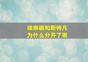 埃琳娜和斯特凡为什么分开了呢