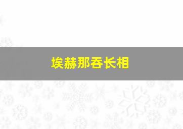 埃赫那吞长相