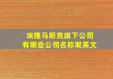 埃隆马斯克旗下公司有哪些公司名称呢英文