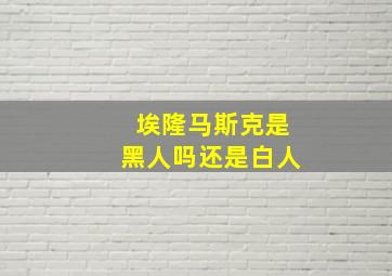 埃隆马斯克是黑人吗还是白人