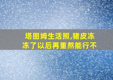 塔图姆生活照,猪皮冻冻了以后再重熬能行不