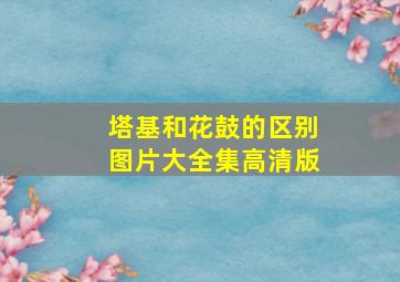 塔基和花鼓的区别图片大全集高清版