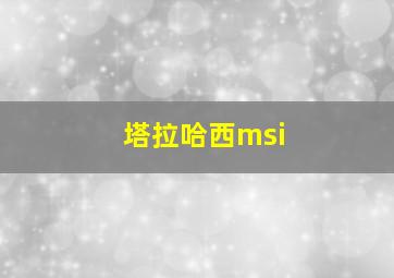 塔拉哈西msi