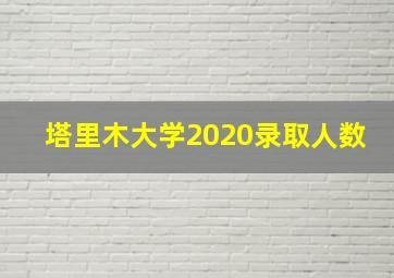 塔里木大学2020录取人数