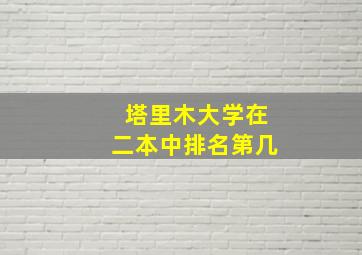 塔里木大学在二本中排名第几