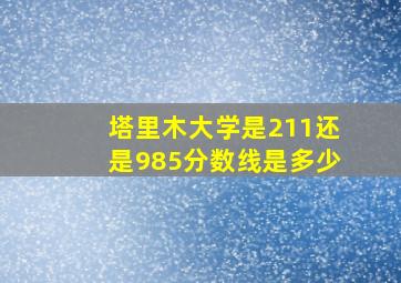 塔里木大学是211还是985分数线是多少