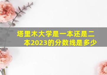 塔里木大学是一本还是二本2023的分数线是多少