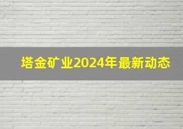 塔金矿业2024年最新动态