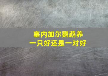 塞内加尔鹦鹉养一只好还是一对好