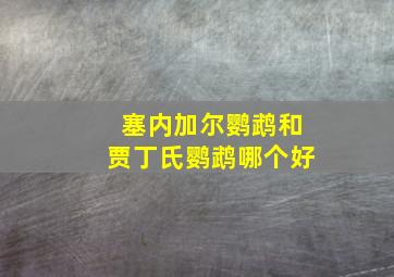 塞内加尔鹦鹉和贾丁氏鹦鹉哪个好