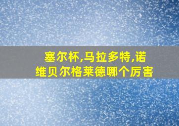 塞尔杯,马拉多特,诺维贝尔格莱德哪个厉害