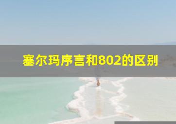 塞尔玛序言和802的区别