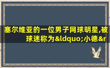 塞尔维亚的一位男子网球明星,被球迷称为“小德”