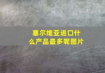 塞尔维亚进口什么产品最多呢图片