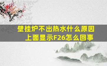 壁挂炉不出热水什么原因上面显示F26怎么回事