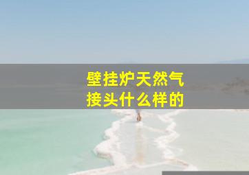 壁挂炉天然气接头什么样的