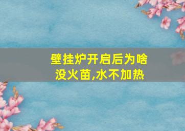 壁挂炉开启后为啥没火苗,水不加热