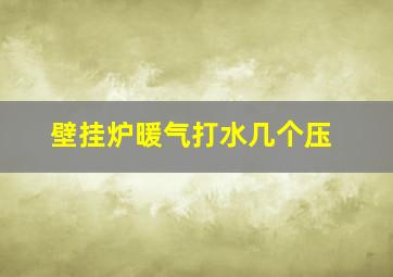 壁挂炉暖气打水几个压