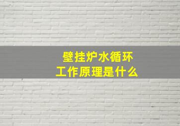 壁挂炉水循环工作原理是什么