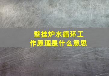 壁挂炉水循环工作原理是什么意思