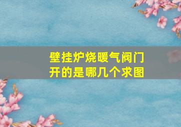 壁挂炉烧暖气阀门开的是哪几个求图