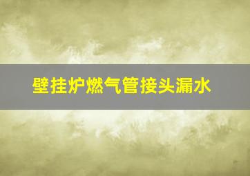 壁挂炉燃气管接头漏水