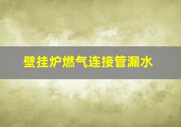 壁挂炉燃气连接管漏水