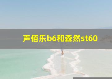 声佰乐b6和森然st60