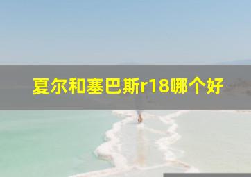 夏尔和塞巴斯r18哪个好