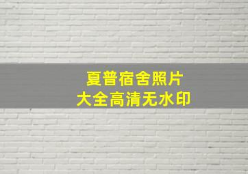 夏普宿舍照片大全高清无水印