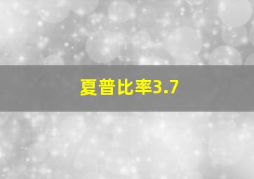 夏普比率3.7