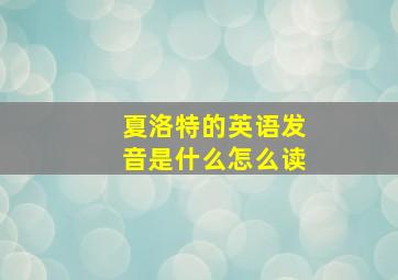 夏洛特的英语发音是什么怎么读