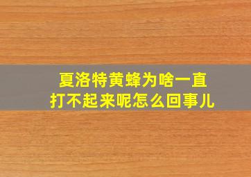 夏洛特黄蜂为啥一直打不起来呢怎么回事儿