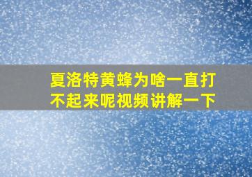 夏洛特黄蜂为啥一直打不起来呢视频讲解一下