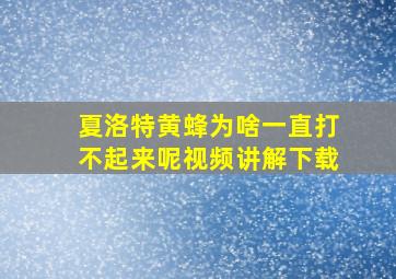 夏洛特黄蜂为啥一直打不起来呢视频讲解下载