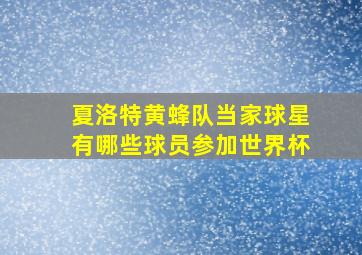 夏洛特黄蜂队当家球星有哪些球员参加世界杯