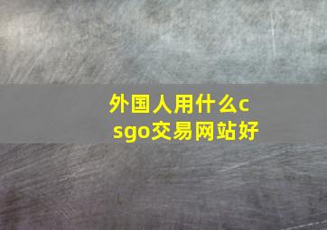 外国人用什么csgo交易网站好